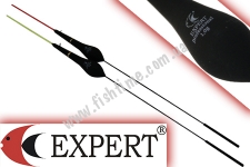  Expert 202-07-010