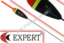  Expert 202-87-020