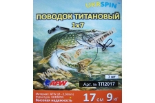 UKRSPIN  17 9 17