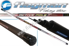   .  FORCE ACTIVE POLE 6000