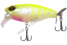  Deps Buzzjet JR  23