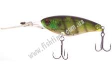  Imakatsu Shad IS-200 6cm 11 2 55 Gill