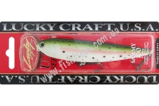  Lucky Craft Sammy 100 Rainbow Trout