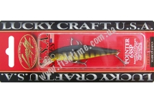  Lucky Craft Pointer 65 Black & Gold