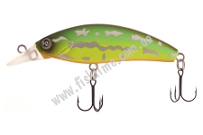  . LJ  ONE SHAD F   5 / E352