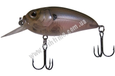 Molix Sculpo Crank Silent MR 55 14 Lugano Shad Floating