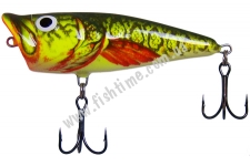  SALMO POP P6 BB