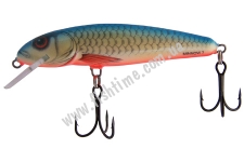  SALMO MINNOW M7F DB