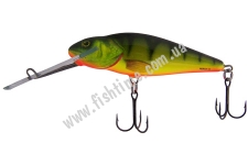  SALMO Perch PH12SDR HP