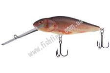  SALMO Perch PH14SDR RR