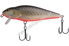  SALMO Perch PH14SR GS