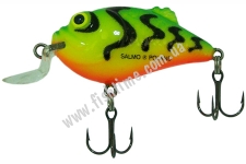  SALMO BOXER BX4SR GT
