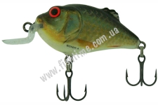  SALMO BOXER BX7SR RR