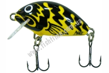  SALMO TINY IT3F BT
