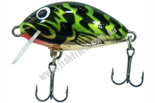  SALMO TINY IT3S GGT