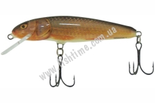  SALMO MINNOW M7S RR