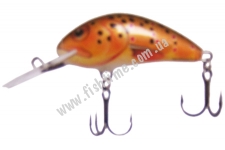  SALMO HORNET H5F T