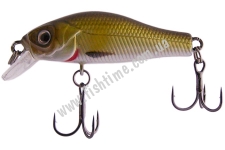  Strike Pro Archback 35SP 2.2 EG-125E-SP(146)